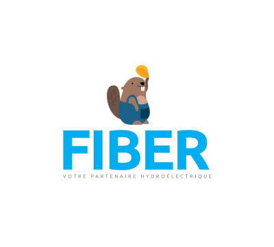 fiber (1)